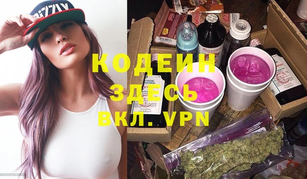 хмурый Вяземский