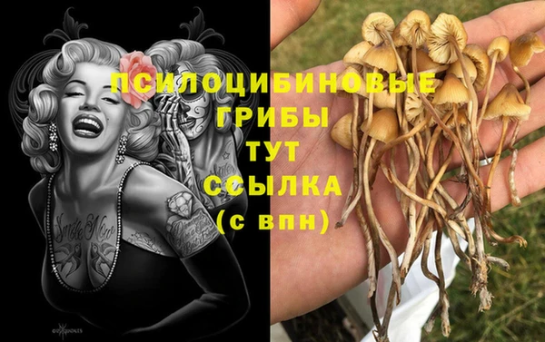 Альфа ПВП Вязники