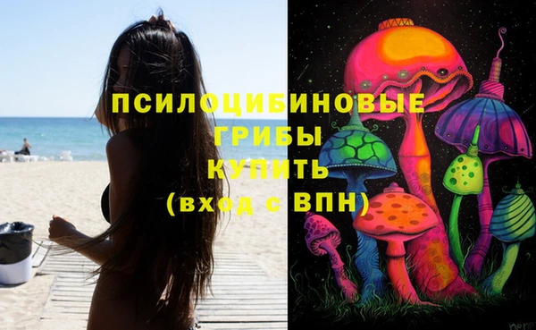 Альфа ПВП Вязники